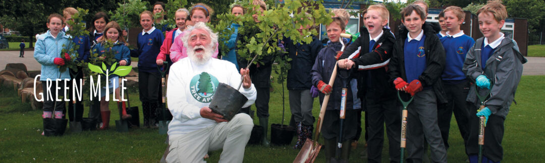 Tree plantations at a UK school