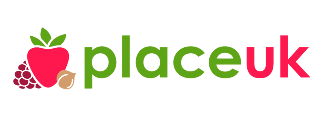 Place UK Logo Case Study