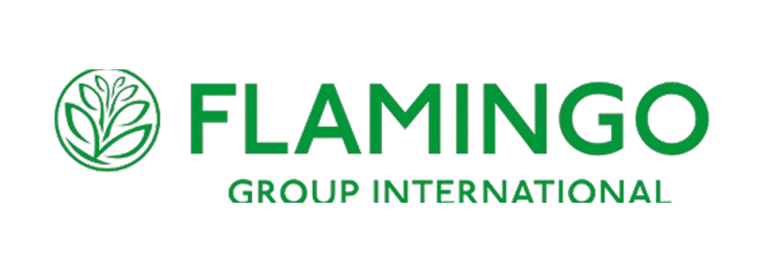 Flamingo Flowers Logo Case study