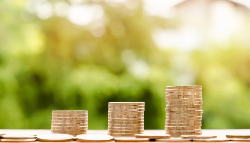 Stacks of coins arranged in increasing height, symbolising financial growth and savings, with a blurred natural background.