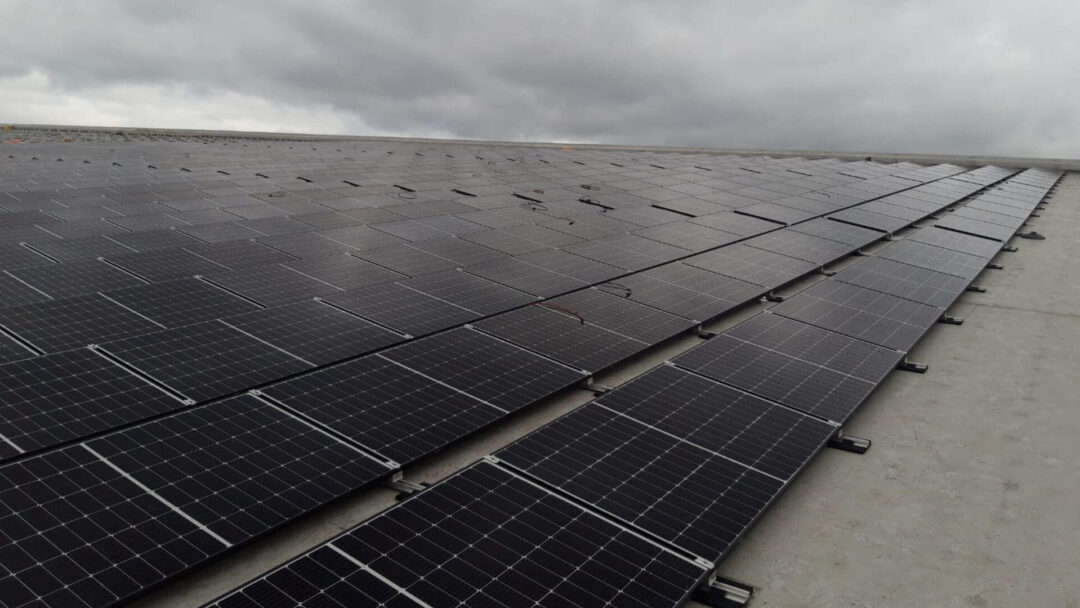 Solar panels seen from a rooftop perspective