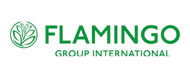 Flamingo Flowers Logo Case study