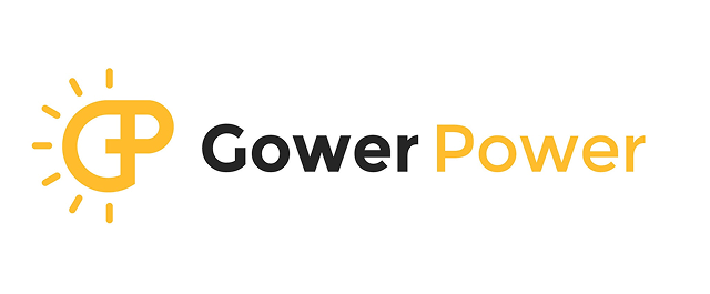 Gower Power Logo Case study
