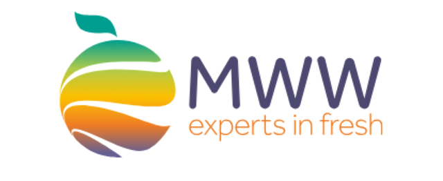 MWW Logo Case study